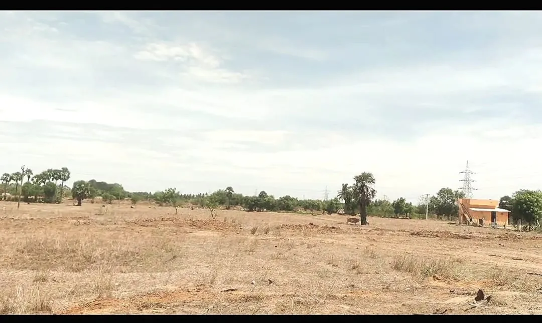 1.16 Acres Agricultural Land for Sale in Vedanthangal, Senthamangalam