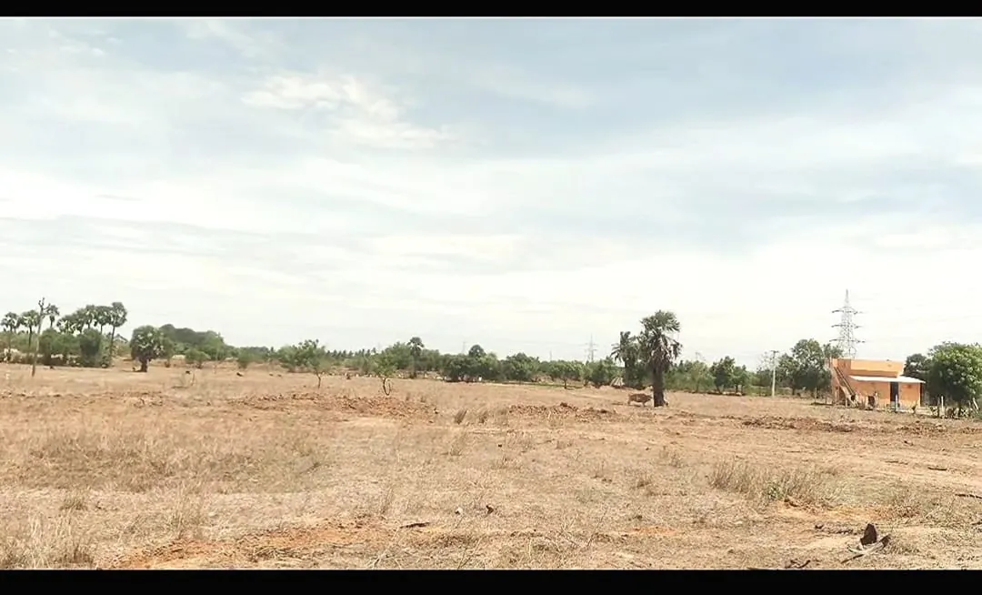 1.16 Acres Agricultural Land for Sale in Vedanthangal, Senthamangalam